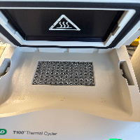 Bio-Rad T100 Thermal Cycler image 0